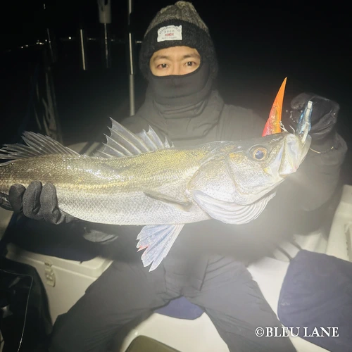 20:00~「シーバス便」19