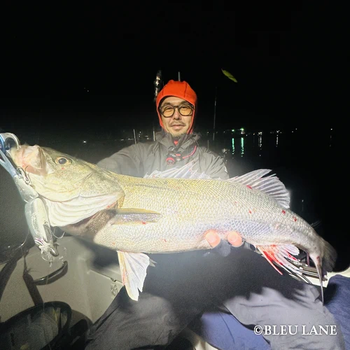 ボートシーバス 東京湾23