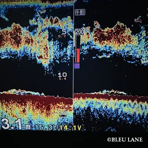 ボートシーバス 東京湾2