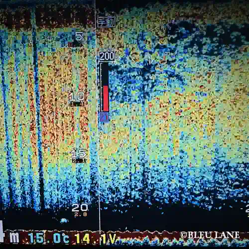 東京湾 ボートシーバス