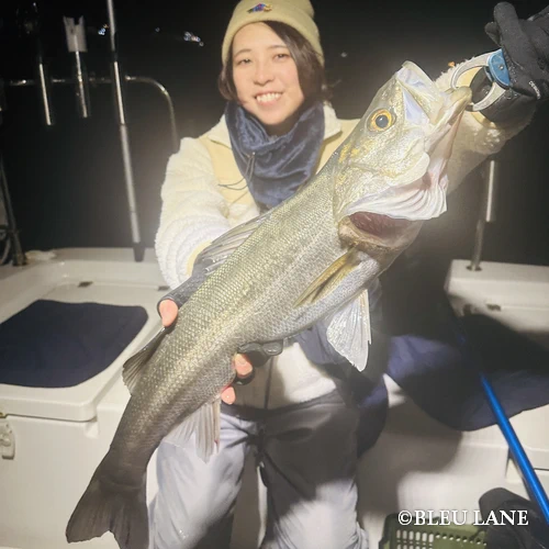 東京湾 ボートシーバス3