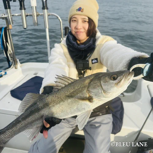 東京湾 ボートシーバス12