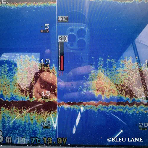 横浜　アジ釣り