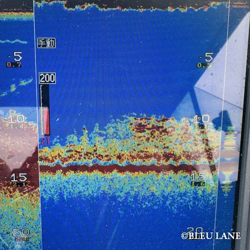 横浜　アジ釣り3