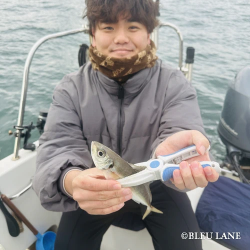 横浜　アジ釣り23