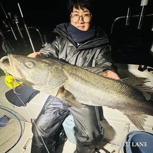 横浜　ボートシーバス2