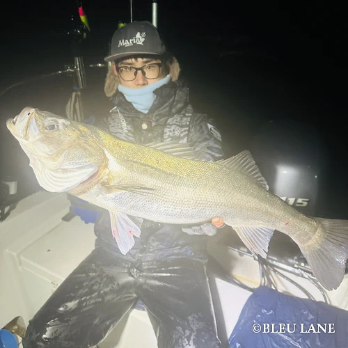 横浜 ボートシーバス2