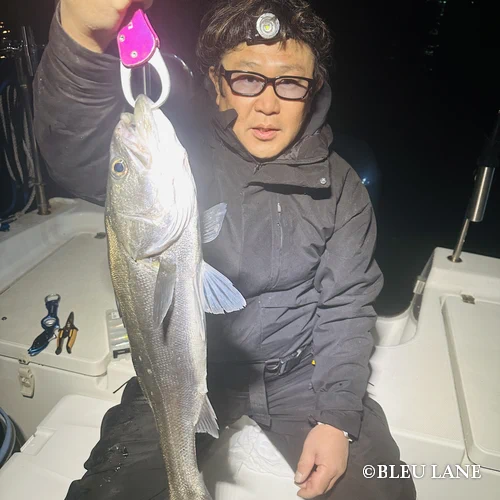 横浜 ボートシーバス12