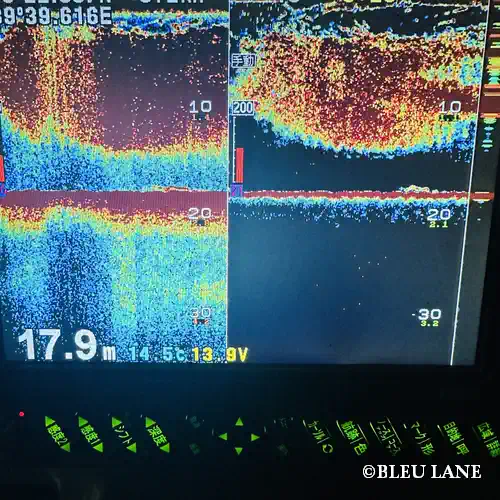 横浜 ボートシーバス