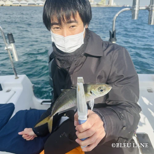 横浜 ボートシーバス56