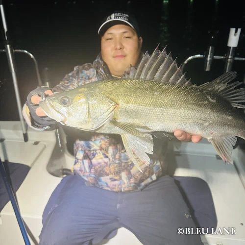 横浜　ボートシーバス4