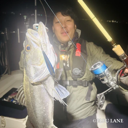 横浜　ボートシーバス5