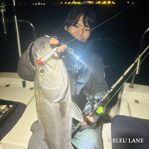 横浜　ボートシーバス6