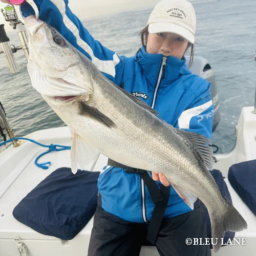 6:30~「シーバス便」25