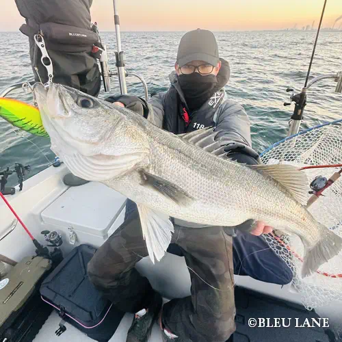 5:00～「シーバス乗合便」13