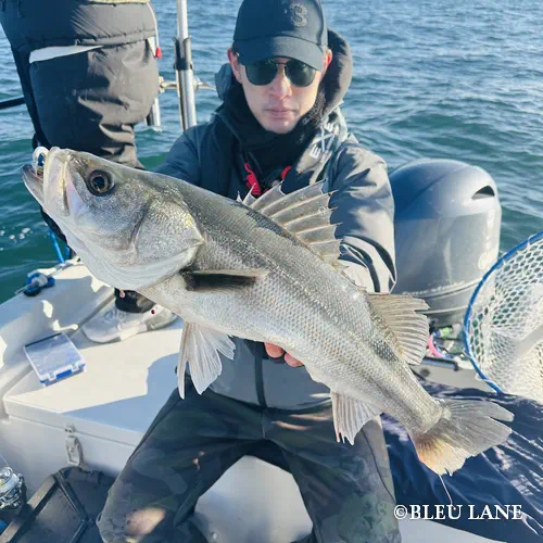 5:00~「シーバス乗合便」3