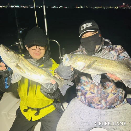 20:00~「シーバス便」1