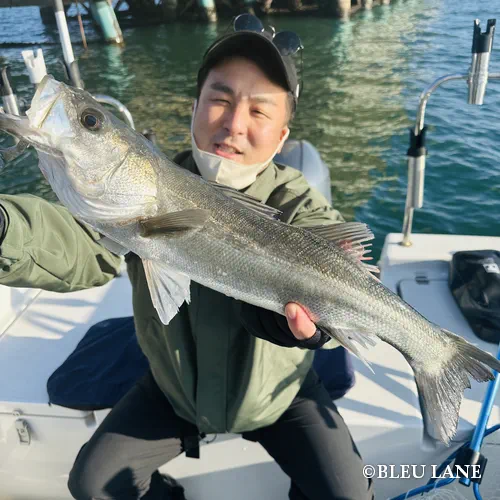 横浜　ボートシーバス3