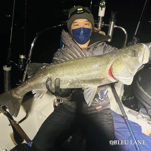 20:00～「シーバス便」15