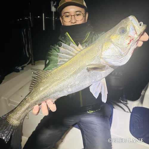 20:00~「シーバス便」3