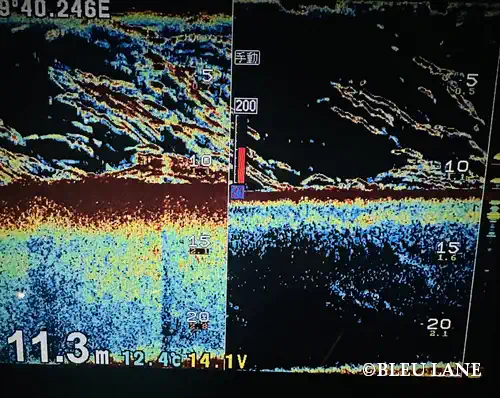 23:00~「シーバス便」3
