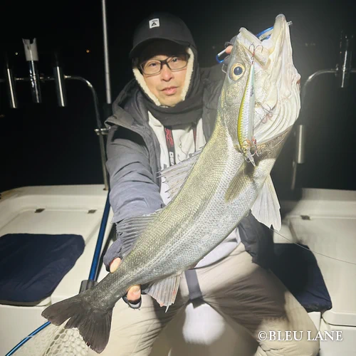 23:00～「シーバス便」25