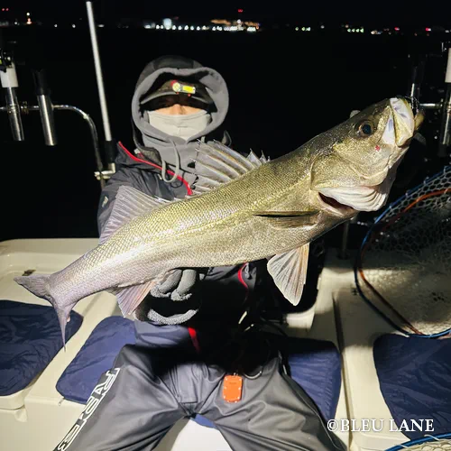 5:00～「シーバス乗合便」2