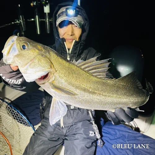 5:00～「シーバス乗合便」3