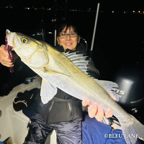 5:00～「シーバス乗合便」5