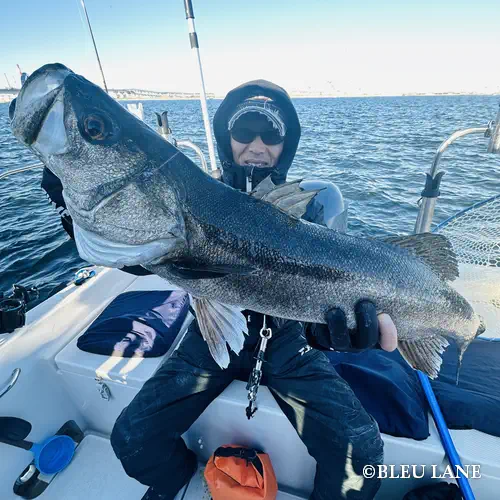 5:00～「シーバス乗合便」12