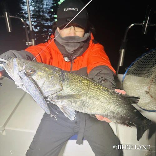 18:00～「シーバス便」25