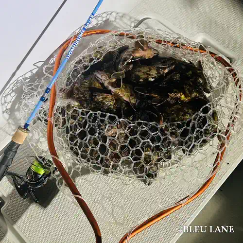 19:30～「五目便」3