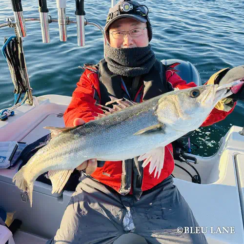 5:30~「シーバス便」15