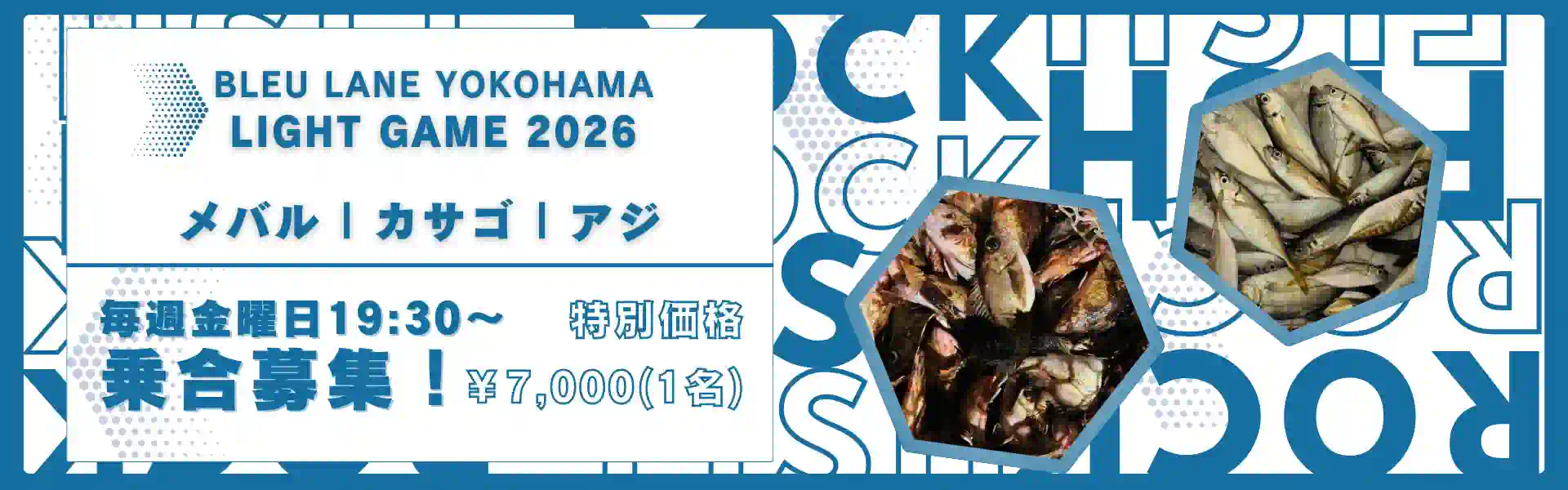 カサゴ　メバル