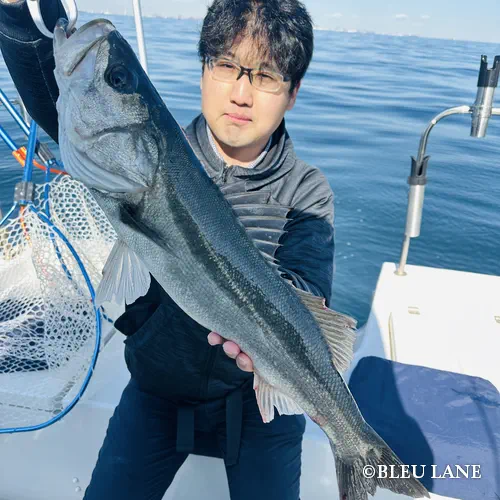 7:00～「シーバス・大型船撮影便」3