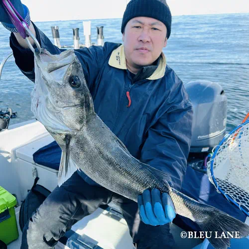 12:00～「シーバス便」3