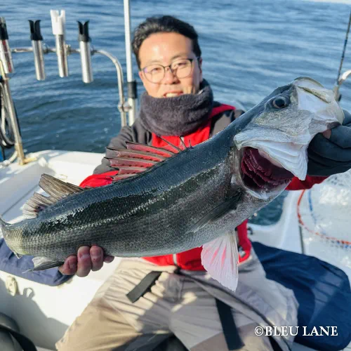 12:00～「シーバス便」12