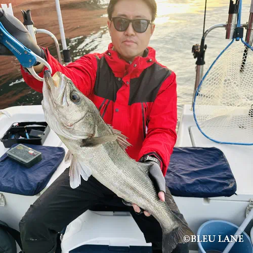 12:00～「シーバス便」7