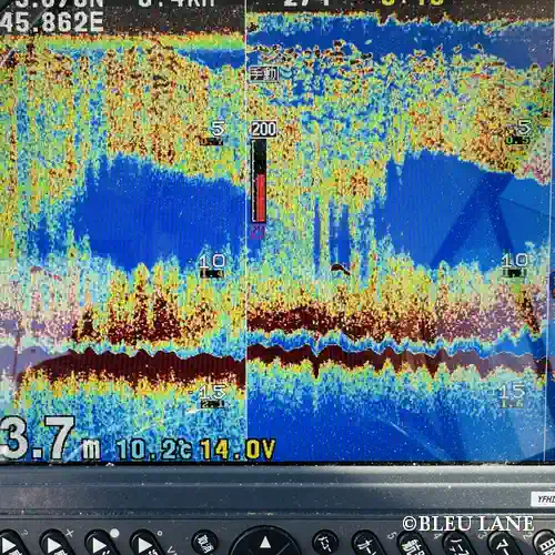 3:30～「ビッグベイトシーバス便」1