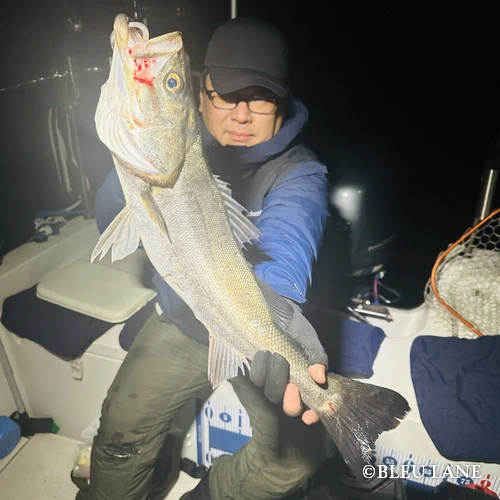 20:30～「シーバス便」4