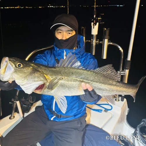 20:30～「シーバス便」8