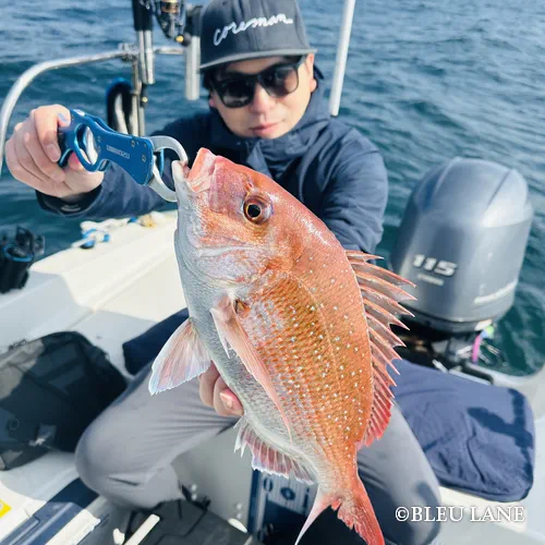 6:00～「サワラ便」2