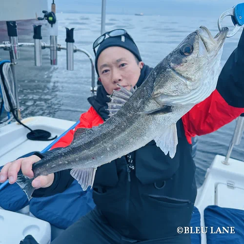 5:00～「シーバス便」12