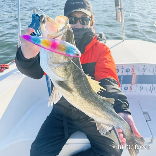 12:00~「ビッグベイトシーバス便」12