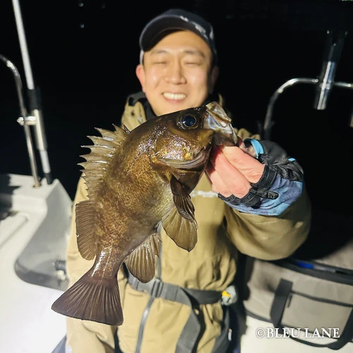 19:30～「ライトゲーム乗合便」2