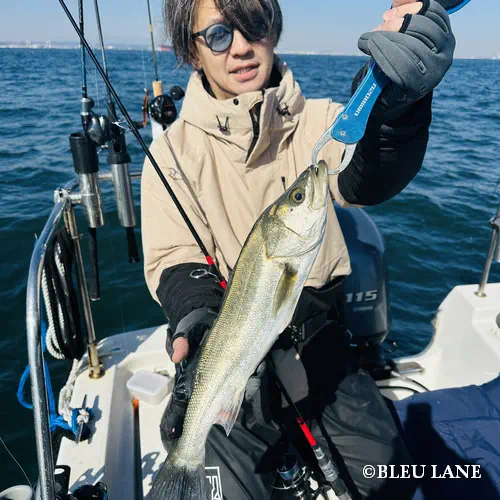 5:00～「タイラバ・青物便」3