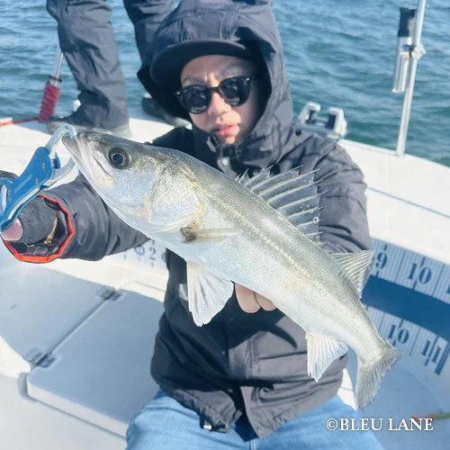 5:00～「タイラバ・青物便」4