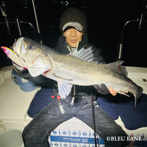 17:00～「シーバス乗合便」