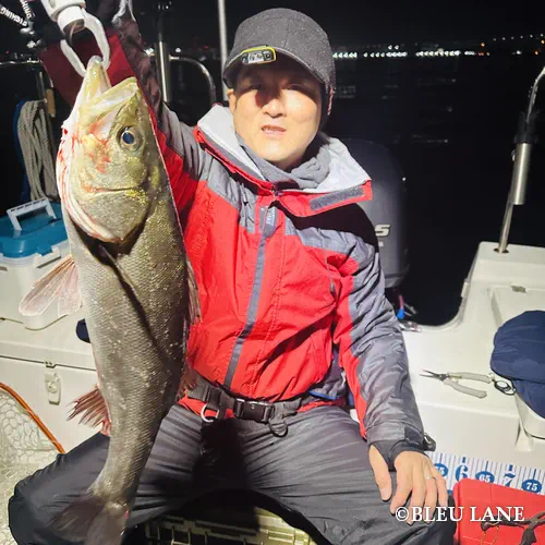 0:00～「シーバス便」3