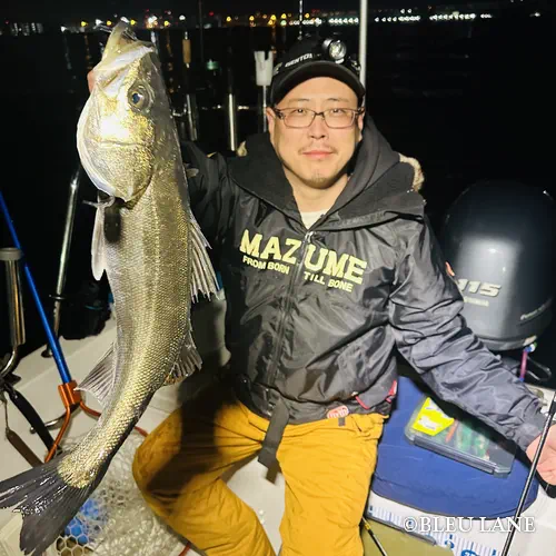 0:00~「シーバス便」15